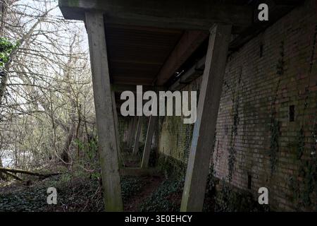 Säulen einer Fußgängerbrücke neben einer Ziegelmauer mit Unkraut und Pflanzen darunter, und ein Seeufer voller Pflanzen und Bäume, die ungezähmt wachsen Stockfoto