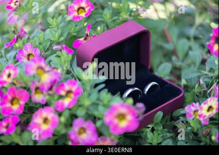 Künstlerische Nahaufnahme von silbernen Eheringen auf tiefrotem botanischem Stiel mit weichem natürlichem Hintergrund. Kreatives Hochzeits- und Verlobungskonzept. Stockfoto