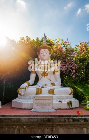 Weiße Buddha-Statue umgeben von rosa Rosen mit warmem Sonnenuntergang von der Seite. Friedliche spirituelle Szene im Garten, die Meditation symbolisiert, tran Stockfoto