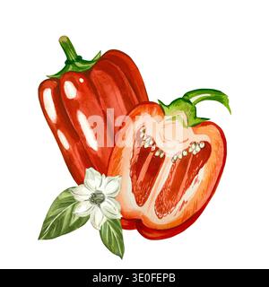 Rote Paprika, ganz, halbiert und mit einer weißen Blume und Blättern garniert. Handgezeichnete Aquarellillustration. Abbildung für Menüdesign Stockfoto