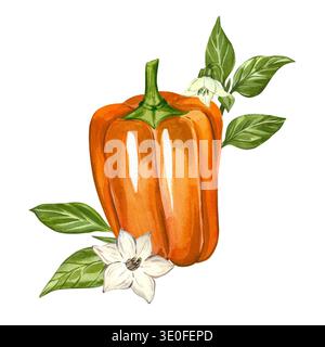 Orangen-Paprika mit weißen Blüten und grünen Blättern. Handgemalte Aquarellillustration. Diese Aquarellillustration ist perfekt für Rezepte Stockfoto