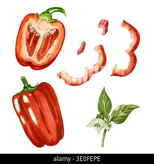 Ein Satz roter Paprika, ganze und in Scheiben geschnittene Paprika mit Blättern und Blüten und Paprika-Keile. Alle handgezeichnet mit Aquarellen. Abbildung für Stockfoto