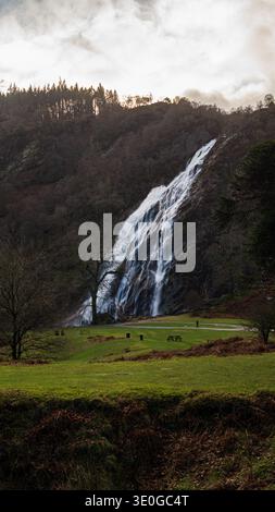 Vertikale Aufnahme des Waldwasserfalls Powerscourt-Stil Irland Stockfoto