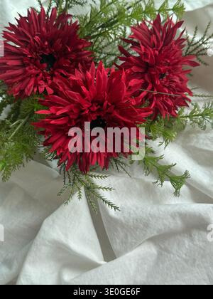 Rote Gerbera Blumen Blumenstrauß aus nächster Nähe Stockfoto