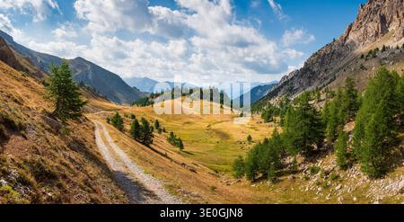Bergwanderweg in der Nähe von Col du Lauzet, Hautes-Alpes, Frankreich. Alpensommerlandschaft mit Lärchen und rauem Gelände in den französischen Alpen Stockfoto