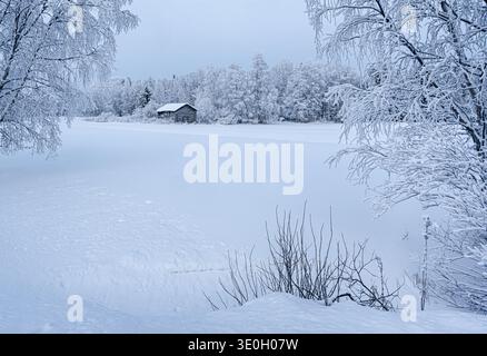 Scheune aus Holz am Rande eines schneebedeckten Feldes, umgeben von schneebedeckten Bäumen und Wäldern am Rande der Stadt Tolva, Finnland Stockfoto