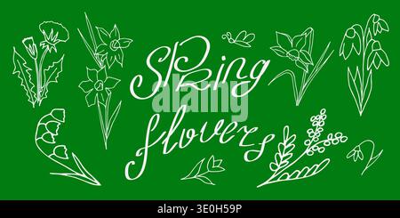 Handgezeichnete Frühlingsblumen auf grünem Hintergrund Stock Vektor