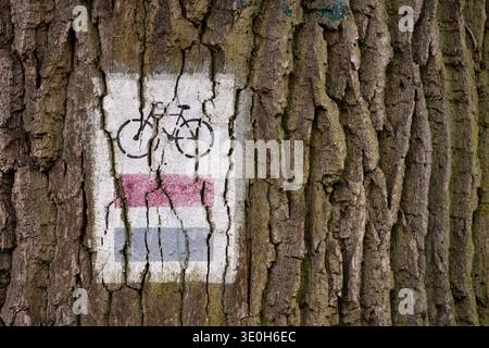 Fahrradmarkierung auf einem Baumstamm in einem Park oder Wald, der den Weg für Radfahrer zeigt Stockfoto