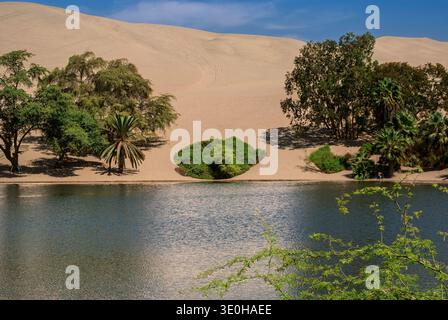 Oasis Dreams Rising from the Silence of Endless Peruvian Dunes (Ica, Peru: 6. September 2009) Stockfoto