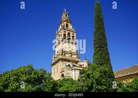 Glockenturm der Mezquita-Catedral de Córdoba, Spanien Stockfoto
