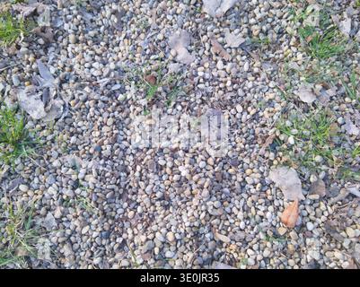 Ein Blick aus der Vogelperspektive auf einen Gartenweg. Die Komposition besteht aus kleinen grauen und braunen Kieselsteinen, durchsetzt mit Flecken von frischem grünem Gras und Stockfoto