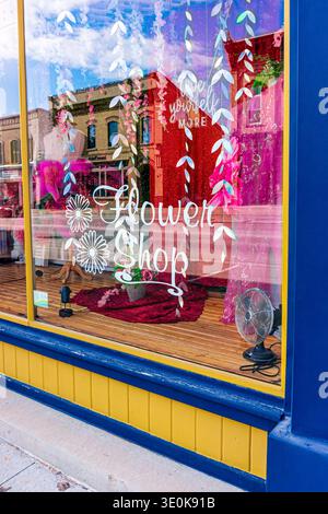 Farbenfrohe Schaufenster im Blumenladen in Seaforth Ontario. März 2026. Stockfoto