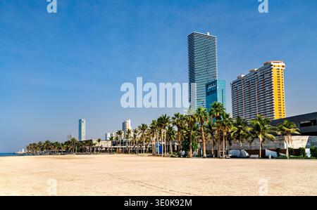 Moderne Wolkenkratzer und üppige Palmen entlang der sandigen Küste von Dschidda unter einem klaren blauen Himmel in Saudi-Arabien Stockfoto