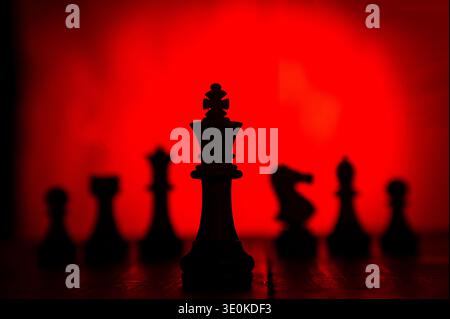 Schachfiguren auf dem Schachbrett, Studioaufnahme Stockfoto
