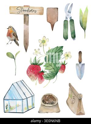 Frühling Gemüsegarten Erdbeerpflanze Haus Gartenarbeit Elemente Stockfoto