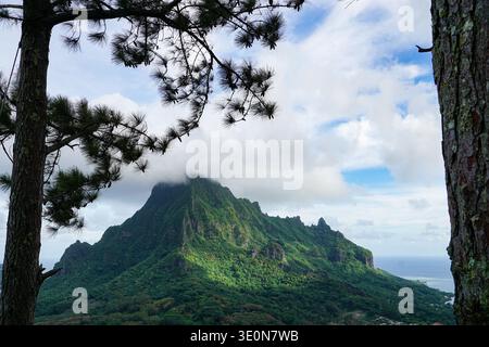 Berggipfel bedeckt mit Wolken, umgeben von üppigem Wald mit Kiefern im Vordergrund. Stockfoto