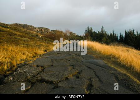 Der gerissene Steinweg schlängelt sich durch grasbewachsene Hügel zu Bäumen unter bewölktem Himmel. Stockfoto