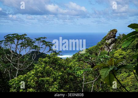 Tropischer Küstenwald mit Blick auf die Meeresküste mit felsigen Ausbissen und dichter grüner Vegetation unter bewölktem Himmel. Stockfoto