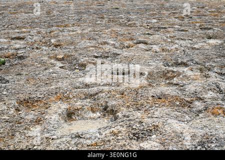 Dinosaurier (Sauropoden)-Fußspuren aus dem Campanian (Spätkreide). Dieses Foto wurde in La Mac, Camarasa, La Noguera, Lleida, Katalonien, Spanien. Stockfoto