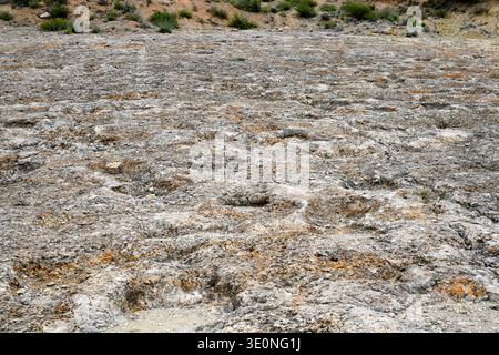 Dinosaurier (Sauropoden)-Fußspuren aus dem Campanian (Spätkreide). Dieses Foto wurde in La Mac, Camarasa, La Noguera, Lleida, Katalonien, Spanien. Stockfoto