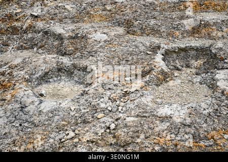 Dinosaurier (Sauropoden)-Fußspuren aus dem Campanian (Spätkreide). Dieses Foto wurde in La Mac, Camarasa, La Noguera, Lleida, Katalonien, Spanien. Stockfoto