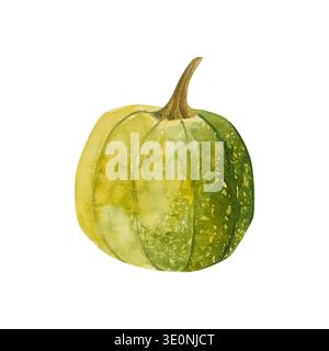Aquarell handgezeichnete Herbstillustration eines orange-grünen Kürbiss. Cucubrita moschata Stockfoto