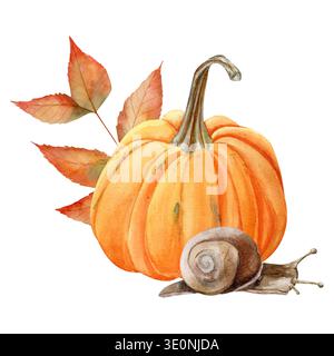 Handgezeichneter orangefarbener Kürbis mit Herbstaschenblatt und Schnecke. Umweltfreundliches Branding Stockfoto