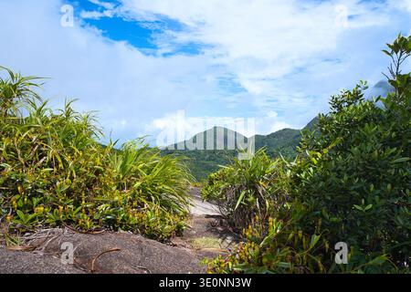 Morn Blanc Berggipfel und Wald vom atemberaubenden Panoramablick auf den Copolia Naturpfad im Nationalpark Mahe Seychellen Stockfoto