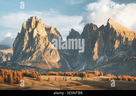 Majestätisch erhebt sich der Blick auf zerklüftete Gipfel, die lange Schatten über goldenen Herbstbäumen werfen und eine atemberaubende Landschaft, die Alpe di, darstellen Stockfoto