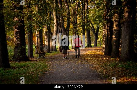 Ein Paar Spazieren Durch Die Herbstumgebung. Midlife-Paar Genießt Im Herbst Einen Friedlichen Spaziergang Durch Den Stadtpark Stockfoto