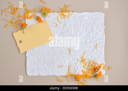 Getrocknete Ringelblumen mit Blütenblättern, verstreut auf handgefertigtem, strukturiertem Papier. Draufsicht mit Platz für Text Stockfoto