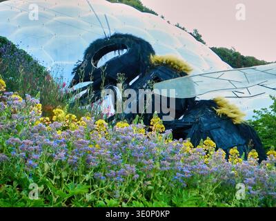 Riesige Bienenskulptur zwischen Wildblumen in Einem Botanischen Garten neben Einem geodätischen Dome-Biom im Eden Project, Cornwall Stockfoto