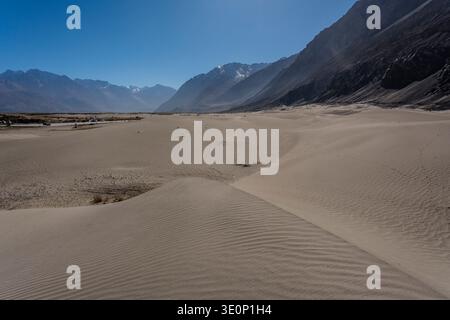 Die sanften Sanddünen von Hunder erstrecken sich über den Talboden in Richtung der in der Ferne sichtbaren Gipfel der Karakoram Range. Stockfoto