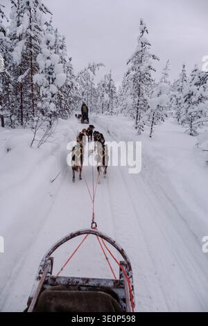 Begeben Sie sich in die bezaubernde Winterwildnis von Akaslompolo, wo Huskys einen Schlitten durch tiefen Schnee ziehen. Die Schönheit der Natur ist umgeben von weißen Bäumen. Stockfoto