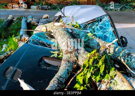 Ein großer Baum ist nach einem Sturm auf das Auto gefallen und hat das Dach und die Windschutzscheibe in der Nachbarschaft beschädigt. Stockfoto