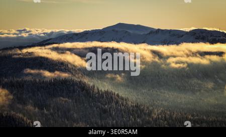 Aus der Vogelperspektive schneebedeckte Wälder treffen auf ätherische Wolken, geküsst vom warmen Glanz der untergehenden Sonne, Gingins, Waadt, Schweiz. Stockfoto