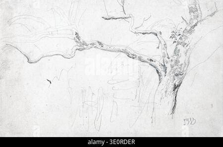 Die Graphit-Zeichnung „Tree Study“ des britischen Malers James Ward aus dem frühen 19. Jahrhundert zeigt sein außergewöhnliches Talent für die Erfassung natürlicher Formen. Die Skizze zeigt einen knorrigen Baumstamm und Zweige mit komplizierten Details, typisch für seine Tier- und Landschaftsstudien aus der Romantik, die wahrscheinlich aus den 1800er bis 1820er Jahren stammen Stockfoto