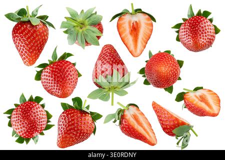 Gruppe duftender frischer roter Erdbeeren mit grünen Stielen, Nahaufnahme, isoliert. Ganz, Schnitte von verschiedenen Seiten. Perfekte Beeren für gesunde Ernährung, Stockfoto