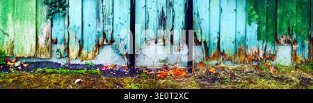Ein Panoramablick auf einen alten Holzzaun mit abblätternder Farbe und freiliegendem Holz auf moosigem, mit Blättern bewachsenem Boden. Stockfoto