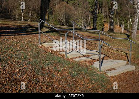Steintreppe mit Stahlgeländern in einem Park mit Herbstlaub und Bäumen bei sonnigem Wetter. Außenarchitektur und Barrierefreiheitskonzepte. Stockfoto