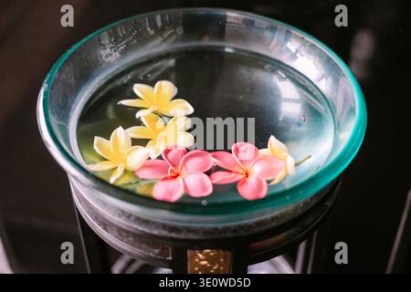 Leuchtende rosafarbene und gelbe Plumeria-Blüten schweben friedlich in einer klaren Glasschale mit Wasser und schaffen eine ruhige und tropische Spa-Atmosphäre Stockfoto