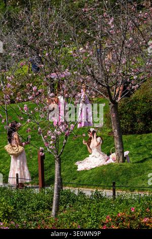 San Diego, CA, USA. März 2026. Frauen in hellrosafarbenen Kleidern genießen im Japanischen Friendship Garden und Museum im Balboa Park ein außergewöhnlich heißes Wetter unter blühenden Kirschbäumen. Eine Frau feiert die japanische Tradition des Hanami oder des Blumensehens und sitzt auf einer Picknickdecke auf dem hellgrünen Gras, während ihre Freundin ihr Foto mit einem Smartphone macht. Das jährliche Cherry Blossom Festival 2026 ist das Symbol der Freundschaft zwischen San Diego und seiner Schwesterstadt Yokohama, Japan. Quelle: Tosh Persons / Alamy Live News Stockfoto
