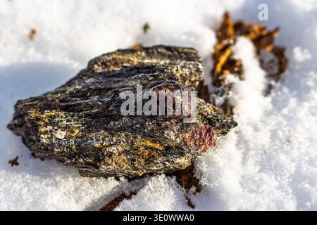 Leuchtend rote Granate aus Almandine, eingebettet in dunklem Glimmerfelsen, die von unberührtem weißem Schnee abgewogen werden. Kitelskoe Kaution, Kitelya, Kare Stockfoto
