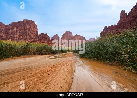 Offroad-Strecken durch den spektakulären Sandsteinschlucht von Wadi Al Disah bei Tabuk in Saudi-Arabien Stockfoto