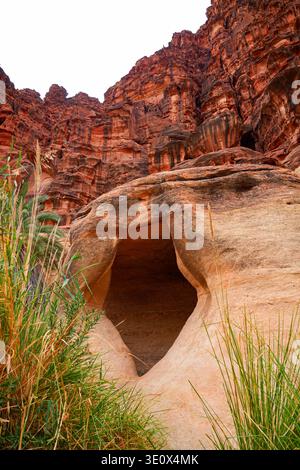 Einzigartige Sandsteinformationen und Wüstenstrauch im Wadi Al Disah bei Tabuk in Saudi-Arabien Stockfoto