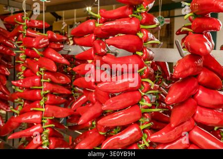 Nahaufnahme der roten Espelette-Chili-Paprika, die in Strings hängen Stockfoto