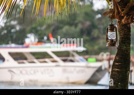Vintage Metal Laterne auf Palm Tree am Tropical Harbor Stockfoto