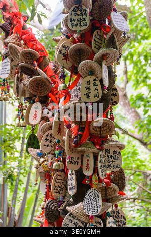 Yanoda, Hainan, China - 11. Januar 2020: Die dekorierten Tafeln mit schriftlichen Wünschen, die nach der Tradition in den tropischen Foren wahr werden Stockfoto