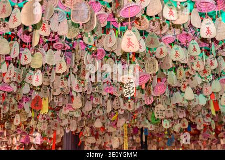 Yanoda, Hainan, China - 11. Januar 2020: Die dekorierten Tafeln mit schriftlichen Wünschen, die nach der Tradition in den tropischen Foren wahr werden Stockfoto