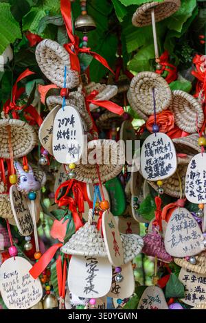 Yanoda, Hainan, China - 11. Januar 2020: Die dekorierten Tafeln mit schriftlichen Wünschen, die nach der Tradition in den tropischen Foren wahr werden Stockfoto